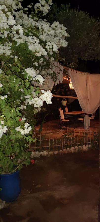 Гостевой дом Dar Tadout Ait Ourir Экстерьер фото